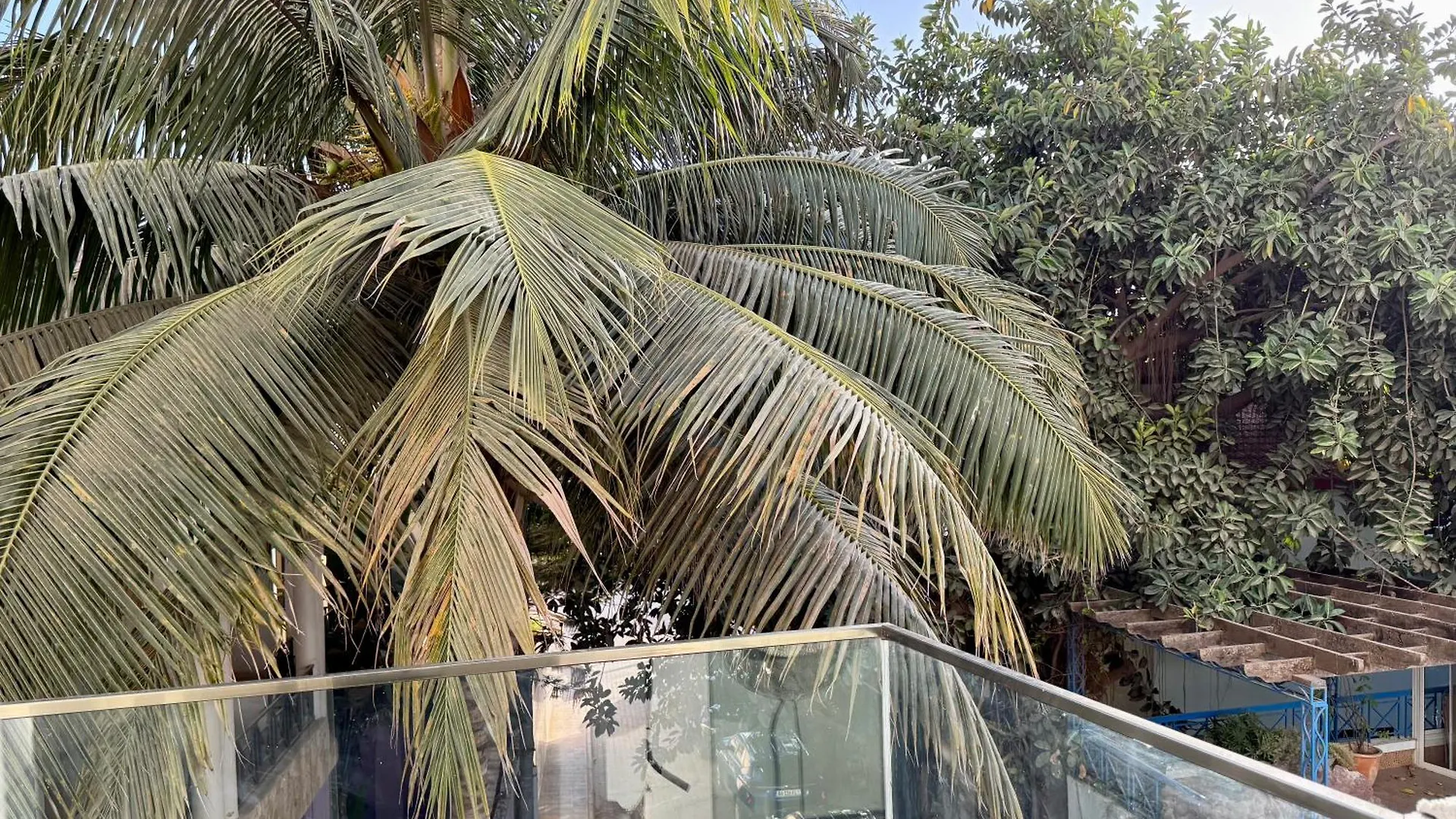 Casa Molo - Luxe & Detente Avec Piscine Et Gym Dakar Senegal